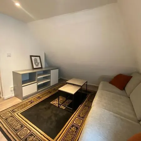 Central Studio Apt In דירה *